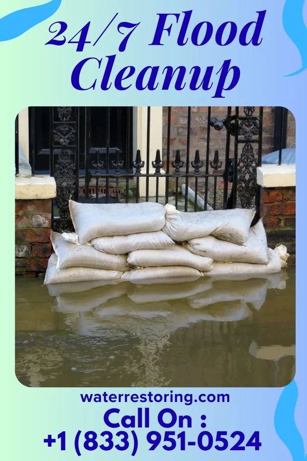24/7 Flood Cleanup in Byron, MN