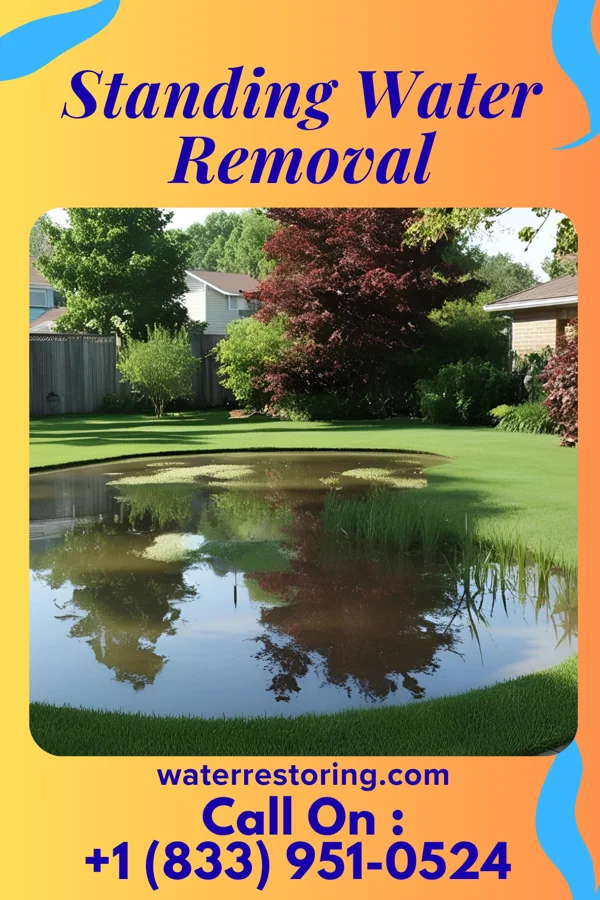 Standing Water Removal in Byron, MN